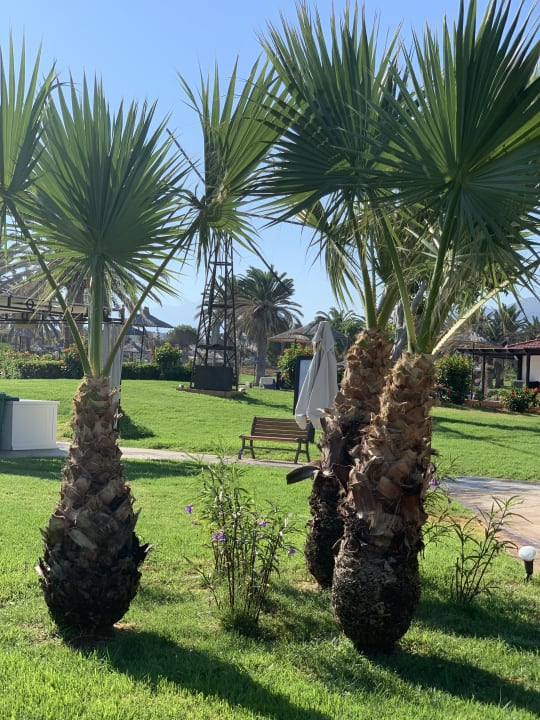 Gartenanlage Anissa Beach & Village