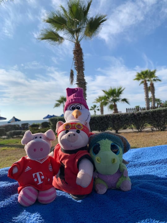 Sonstiges Kefalos Beach Holiday Village