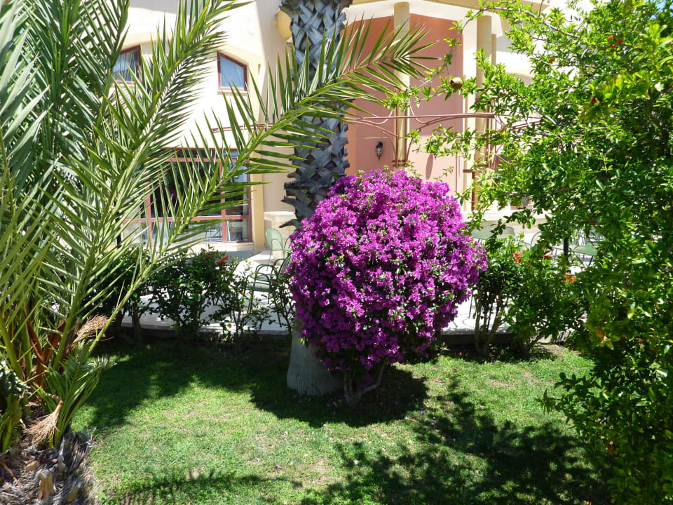 Garten Bella Resort & Spa