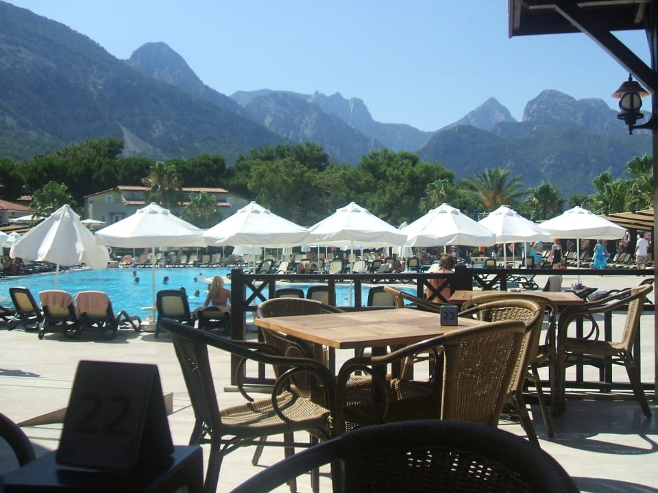 Bar Crystal Flora Pearl Collection