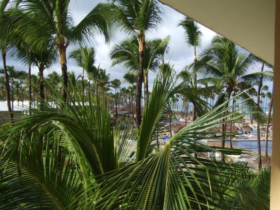 Meerblick Grand Sirenis Punta Cana Resort & Aquagames