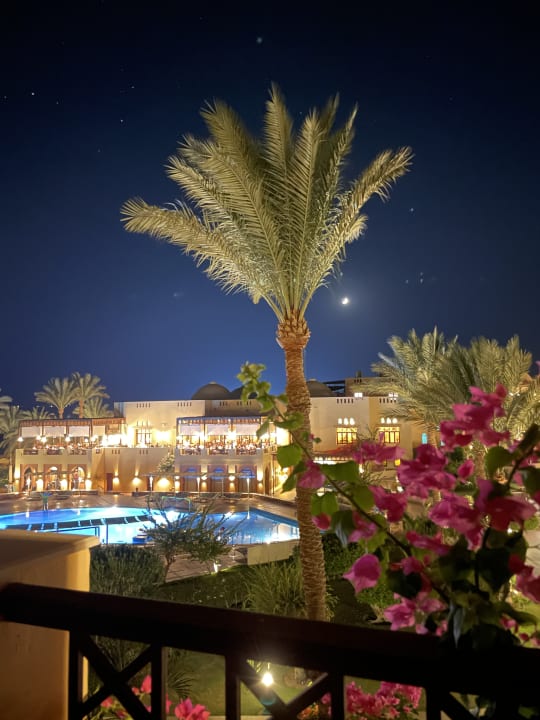 Zimmer Steigenberger Coraya Beach - Adults only