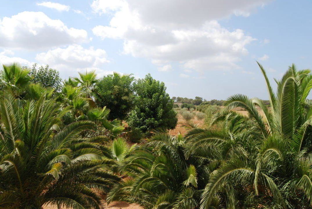 Ausblick von den Terrassen Finca Son Guardiola