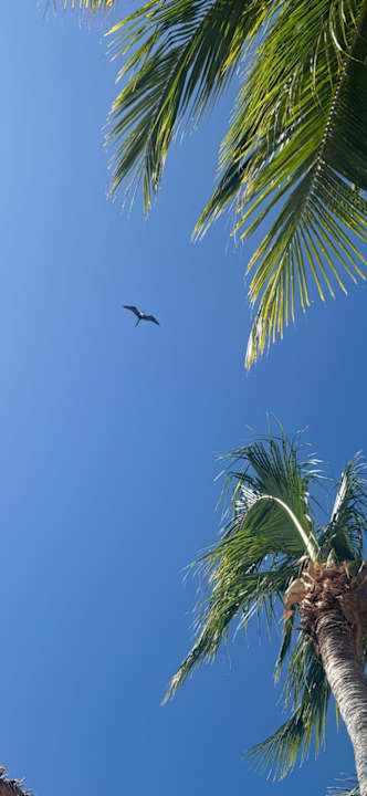 Ausblick Secrets Akumal Riviera Maya - Adults only