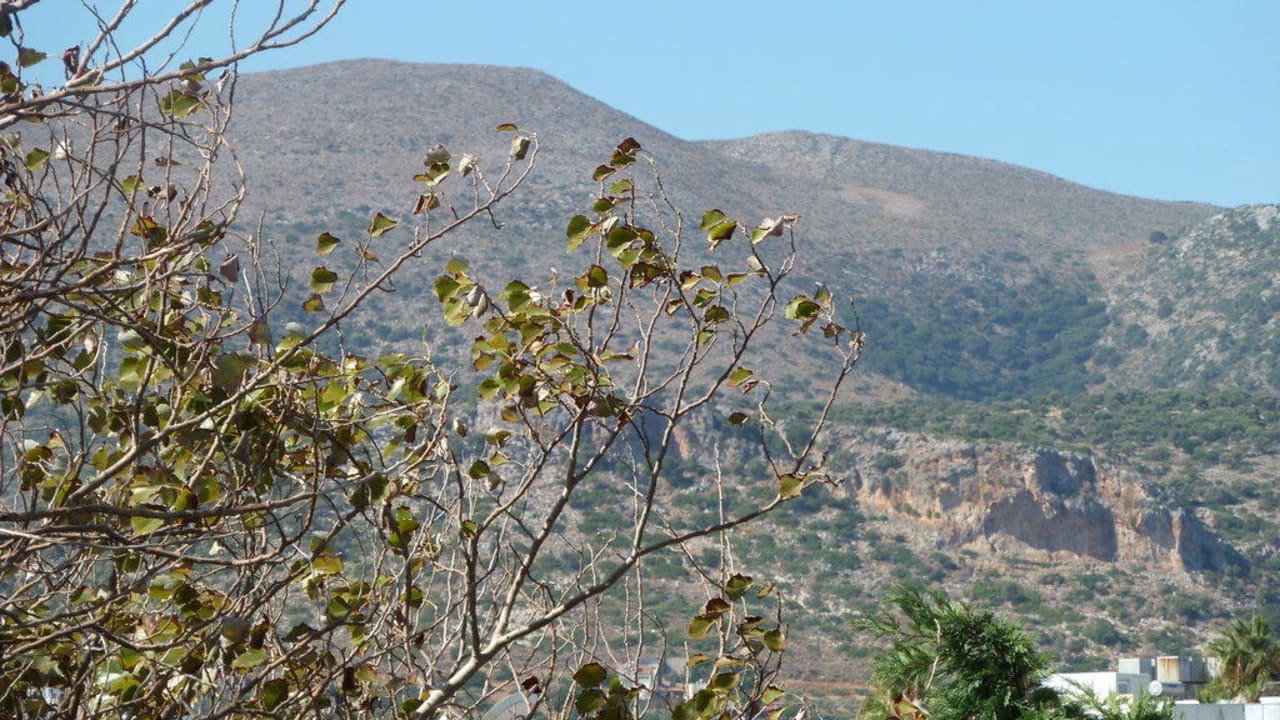 Blick Landseite Calimera Sirens Beach