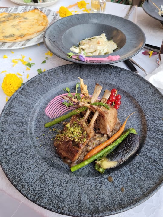 Gastro Hotel Delphin Palace
