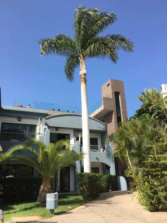 Gartenanlage Adrián Hoteles Colón Guanahaní - Adults only