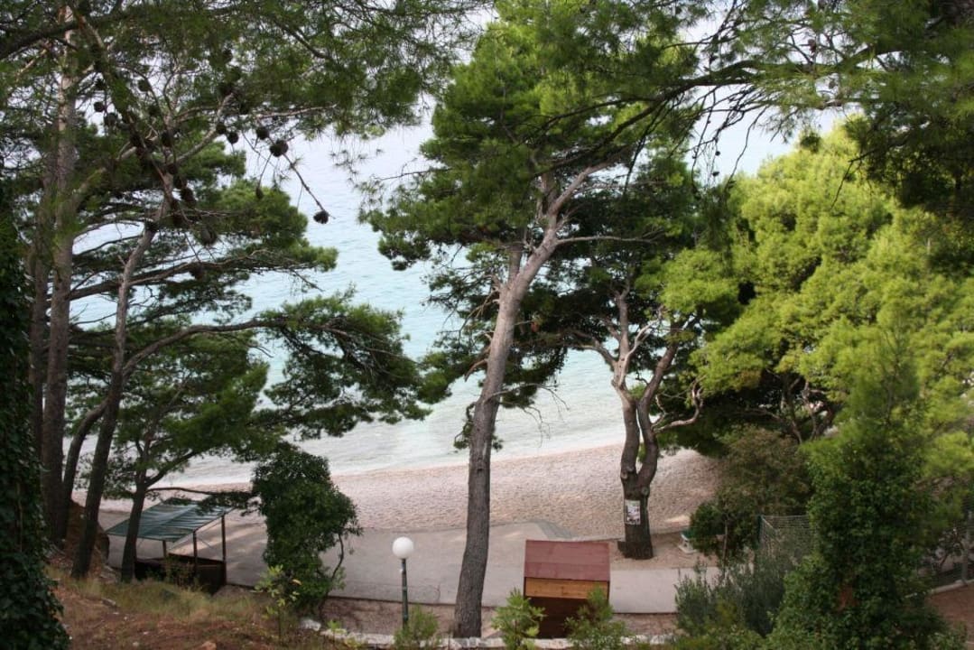 Ausblick vom Zimmer Bluesun Hotel Soline