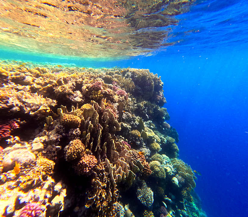 Strand Sentido Naga Bay