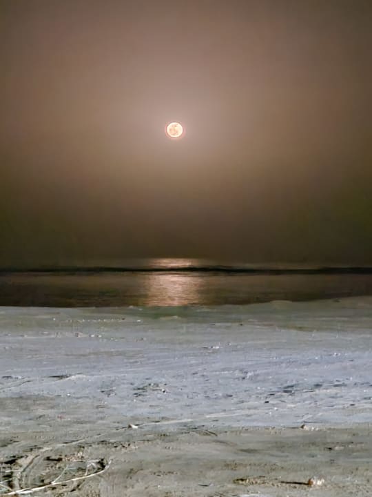 Ausblick Beach Safari Nubian Resort