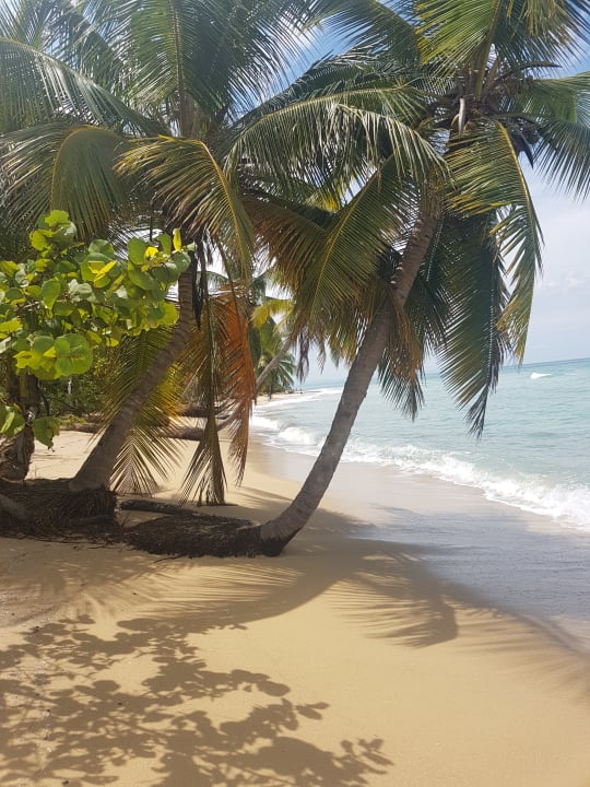 Strand Viva V Samana by Wyndham – Adults Only