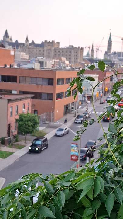 Ausblick Hotel ByWard Blue Inn