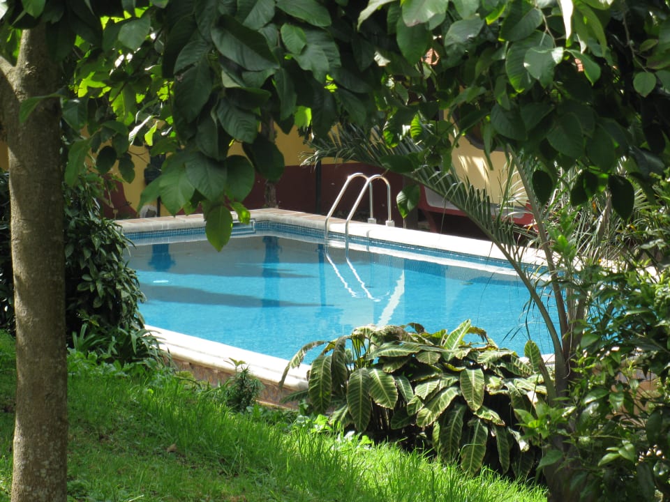 Pool Pestana Quinta do Arco