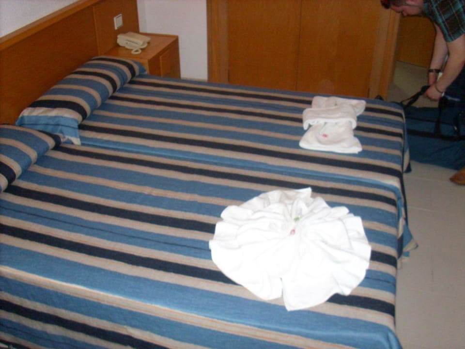 Ankunft Pabisa Sofia