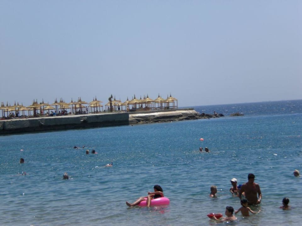 Blick zum Meer Beach Albatros Resort