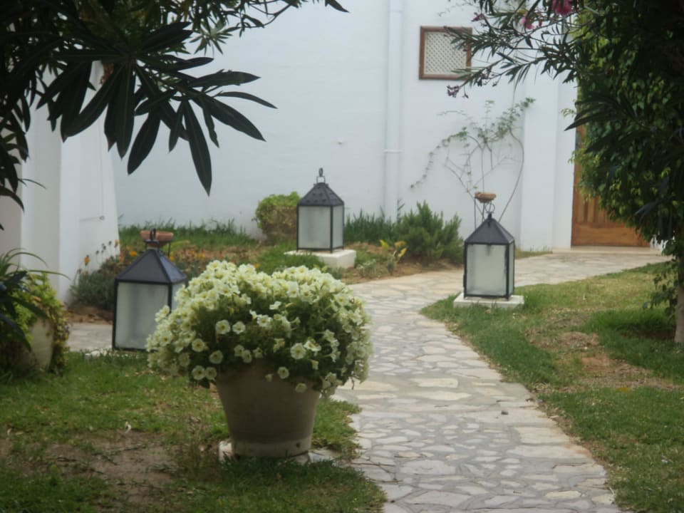 Nette Wegdeko The Orangers Beach Resort and Bungalows