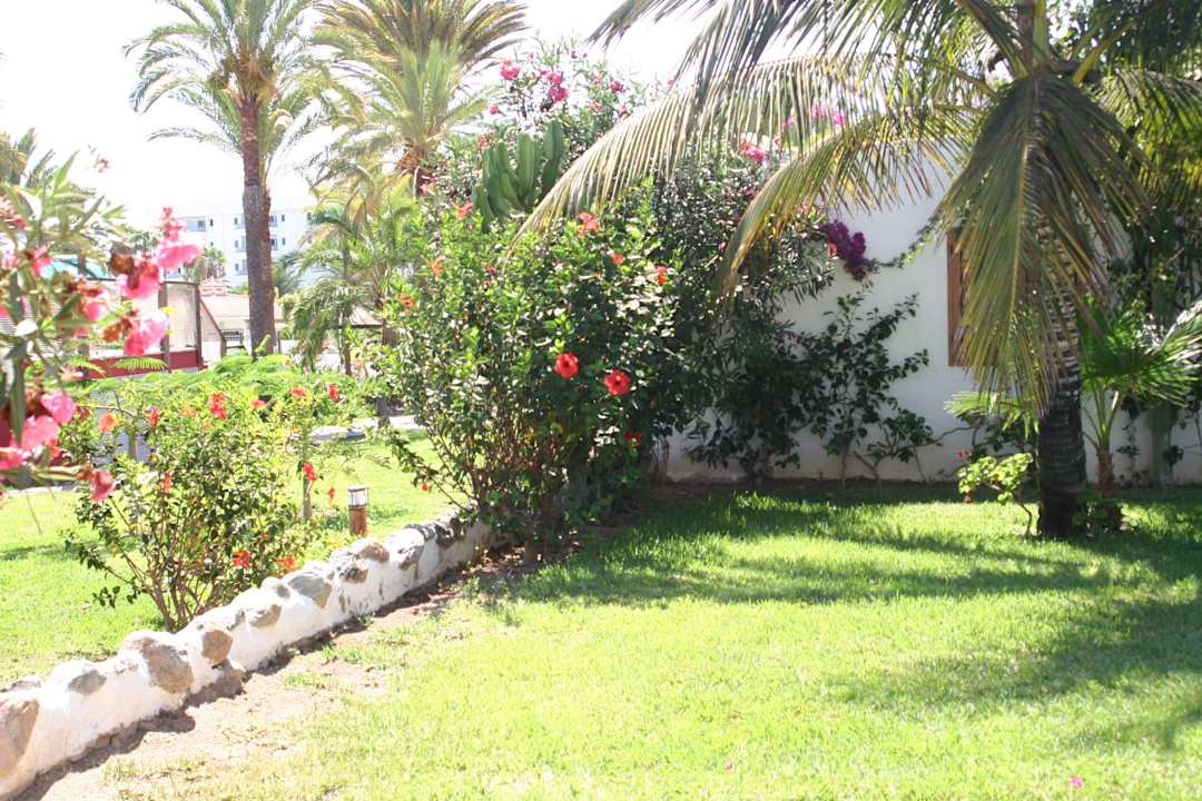 Ausblick vom Bungalow HL Miraflor Suites Hotel