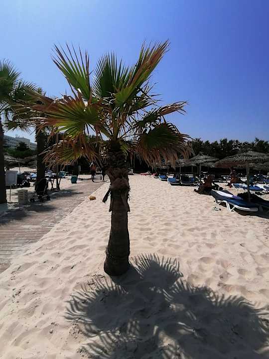 Strand Sahara Beach Aquapark & Resort