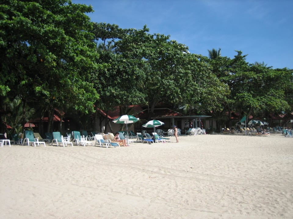 Top Strand The Fair House Beach Resort