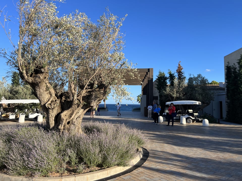 Außenansicht Ikos Porto Petro