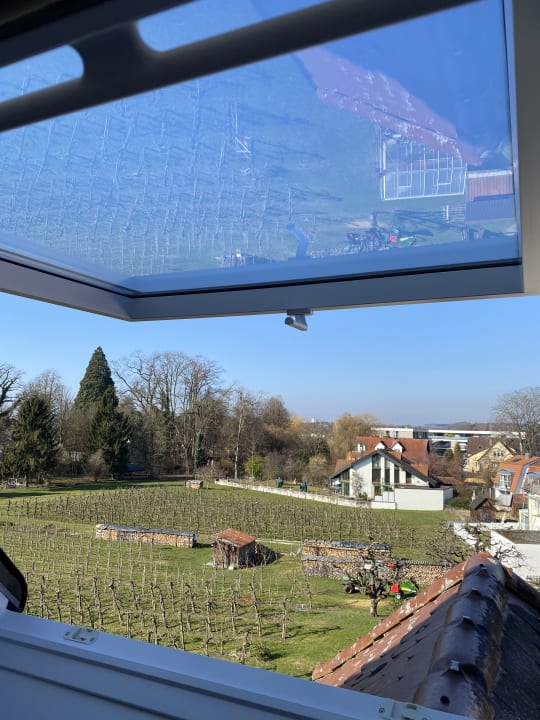 Ausblick Hotel Traube am See