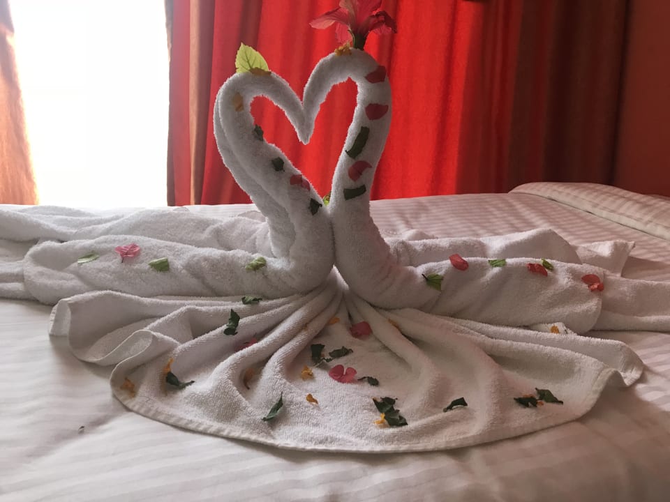 Zimmer Riviera Aqua Park Resort