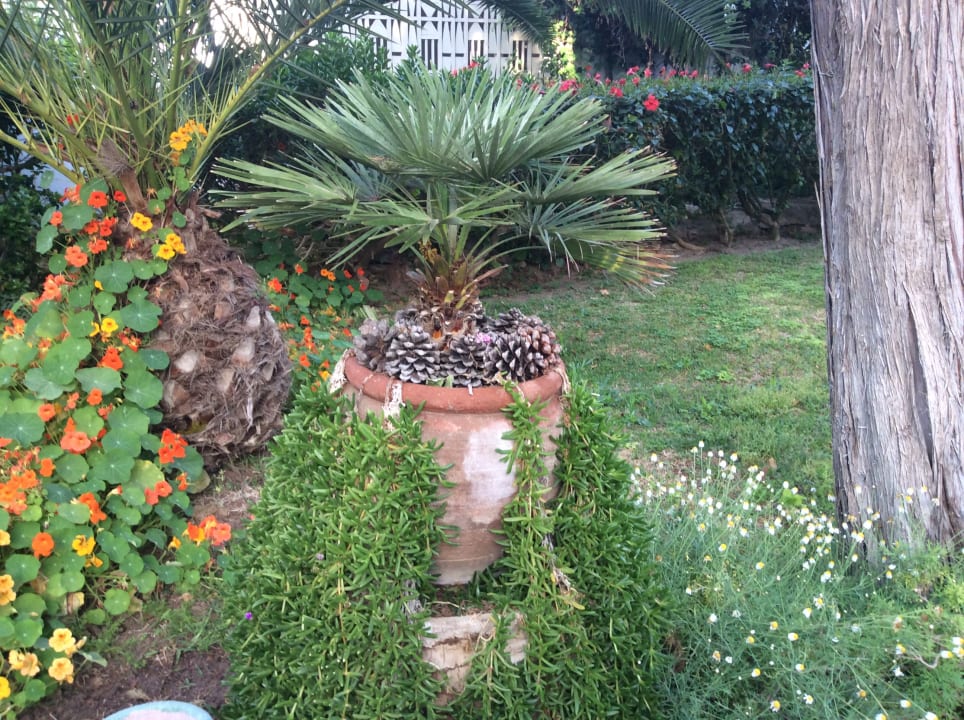 Gartenanlage The Orangers Beach Resort and Bungalows