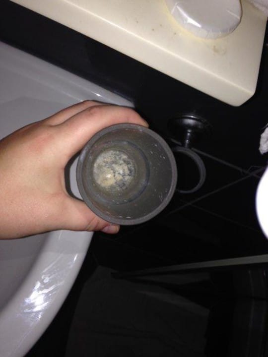 Filthy water cup  The House of Tulpan