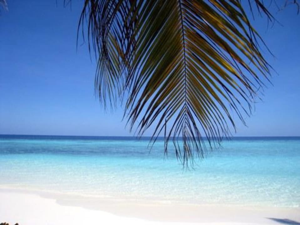 Ausblick auf´s Meer Eri Maldives