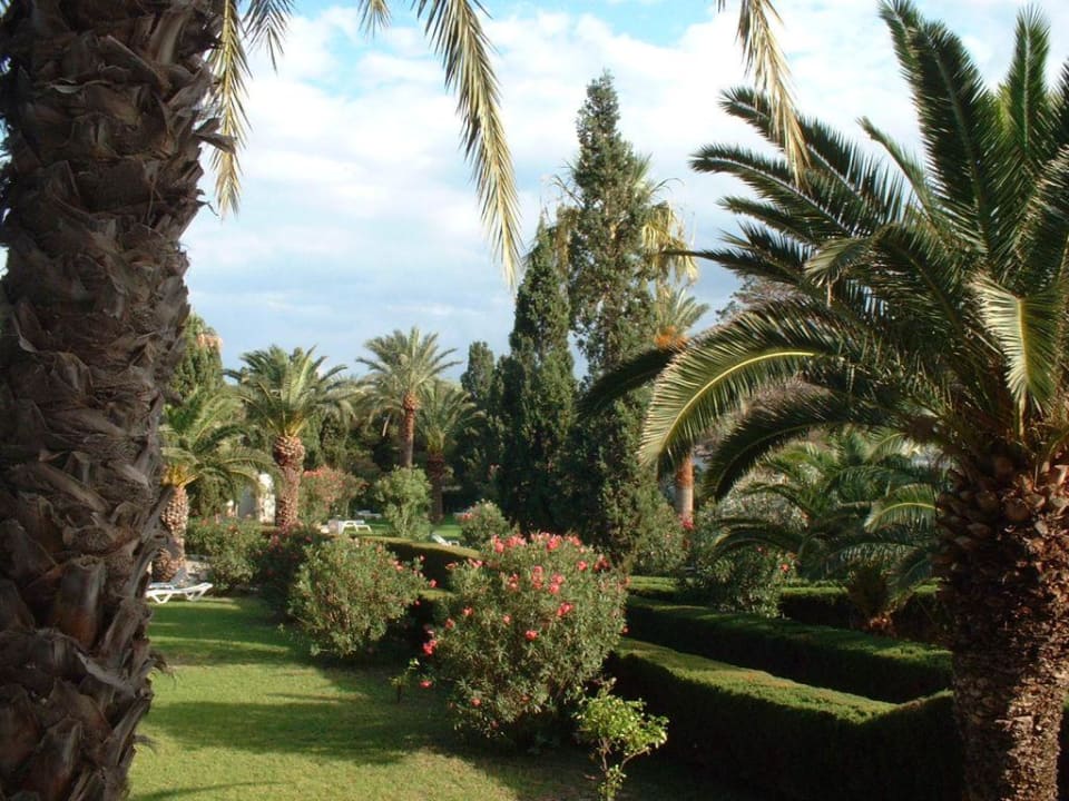 Ein Teil des Gartens Royal Lido Resort & Spa