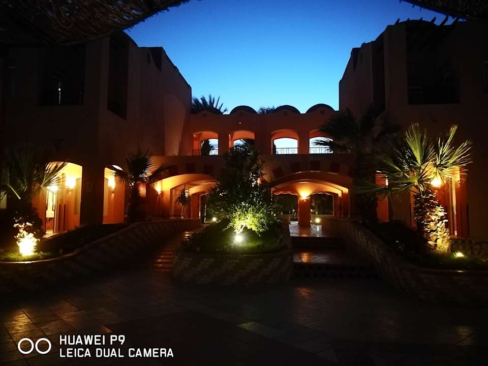 Gartenanlage Jaz Makadi Oasis Resort