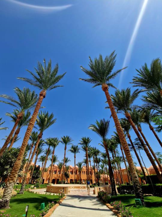 Gartenanlage Jaz Makadi Oasis Resort