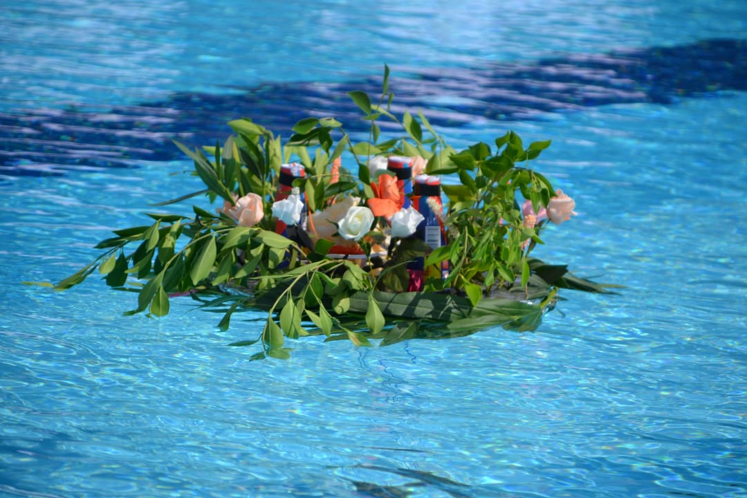 Pool Hane Family Resort