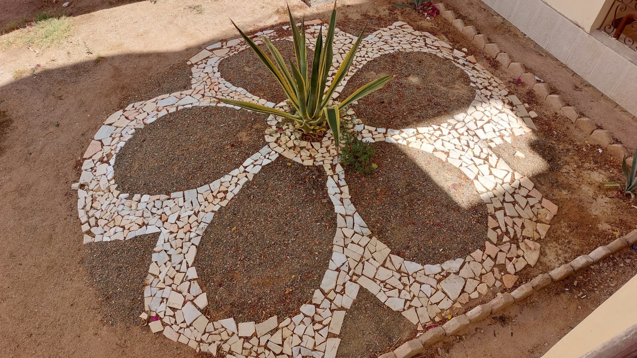 Gartenanlage Regency Plaza Aqua Park & Spa