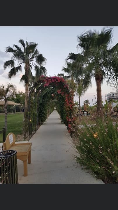 Gartenanlage Hotel Novum Garden Side