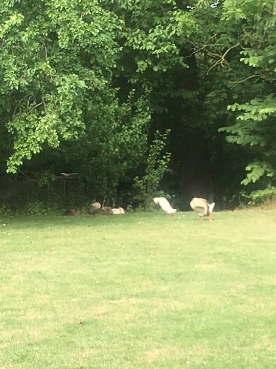 Außenansicht Hofgut Wollin