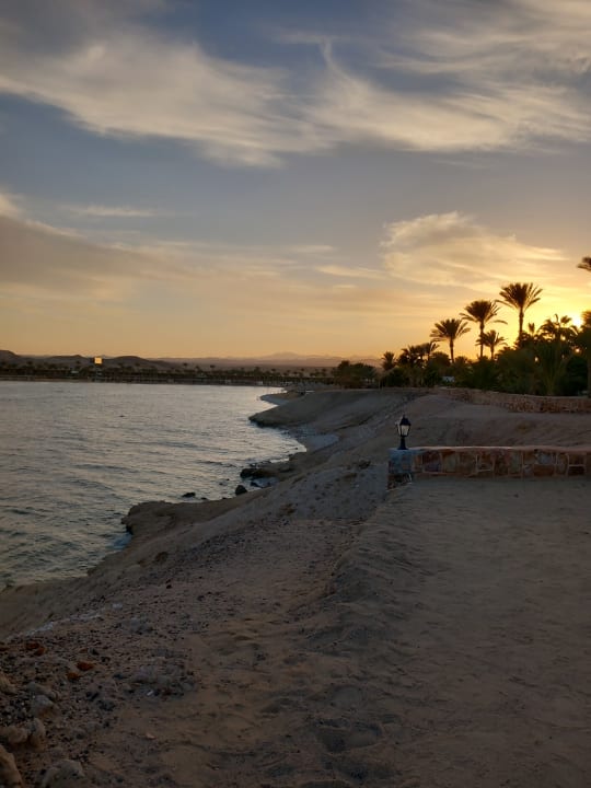 Strand Steigenberger Coraya Beach - Adults only