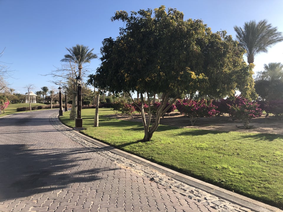 Gartenanlage Steigenberger Aqua Magic