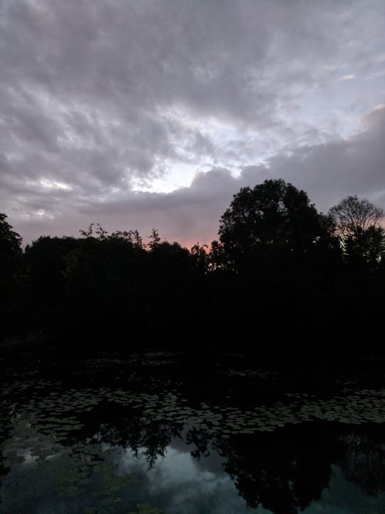 Gartenanlage Le Domaine d'Arondeau