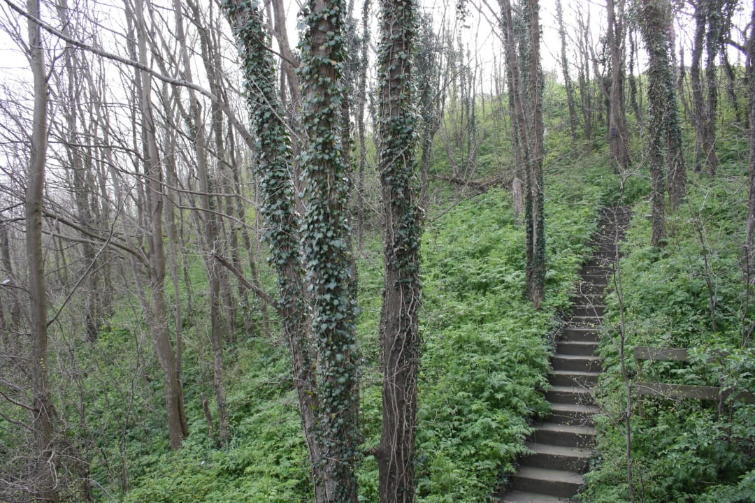 Ausblick vom Balkon Zimmer Nr. 11 Hotel Mare Sanat