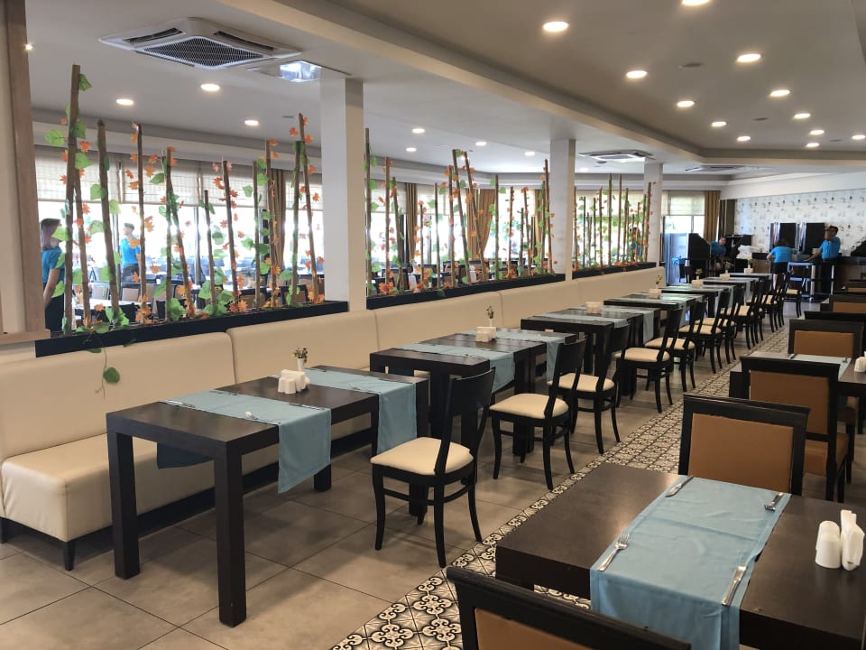 Gastro Asteria Collection Side