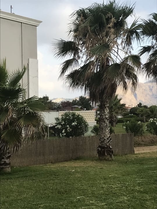 Garten Delfina Tropic Beach