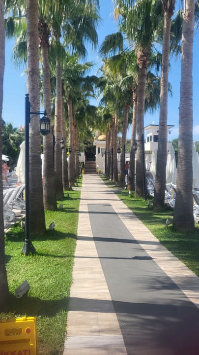 Gartenanlage Castival Hotel