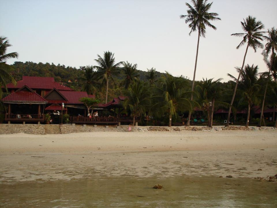 Hotel Hotel Salad Hut