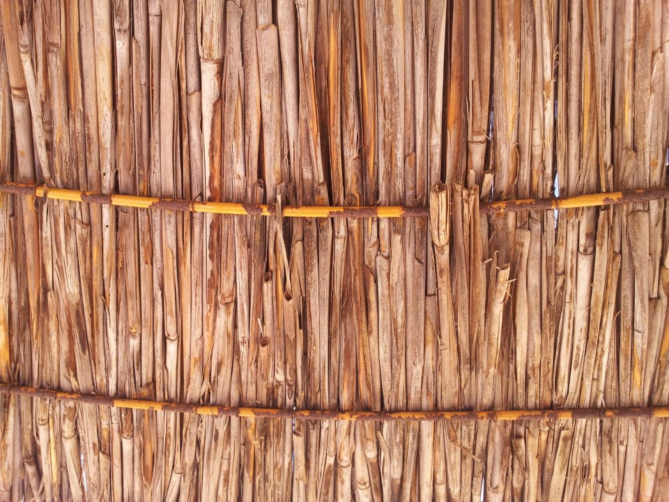 No Comment Akrathos Beach Hotel