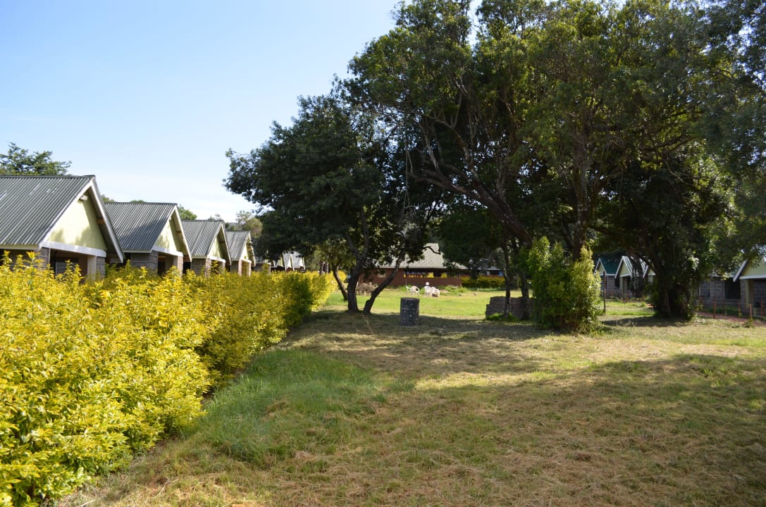Вид на внутренний сад Rhino Tourist Camp