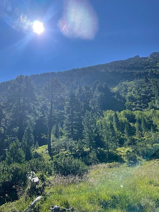 Außenansicht Hotel Finkenbergerhof