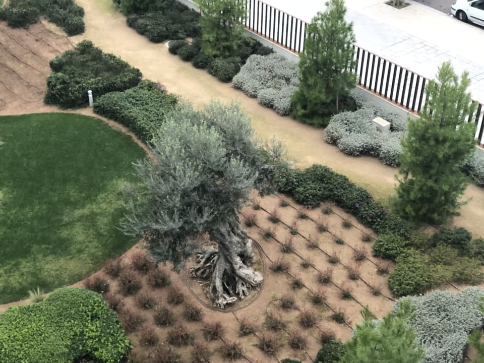 Ausblick Hipotels Gran Playa De Palma