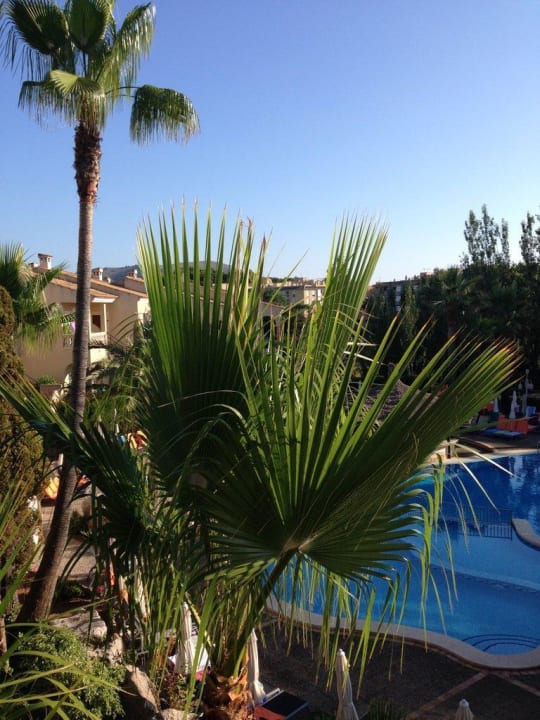 Pool R2 Lago Playa Park