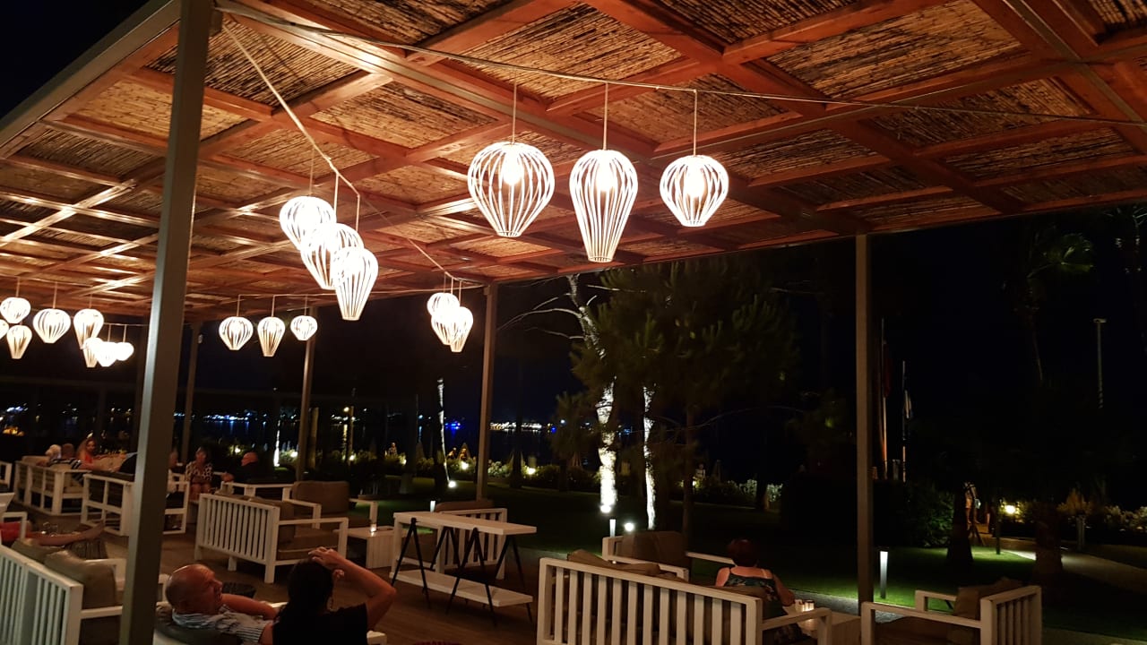 Gastro Acanthus Cennet Barut Collection